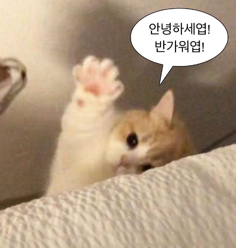 KakaoTalk_20240116_113222452_03.jpg