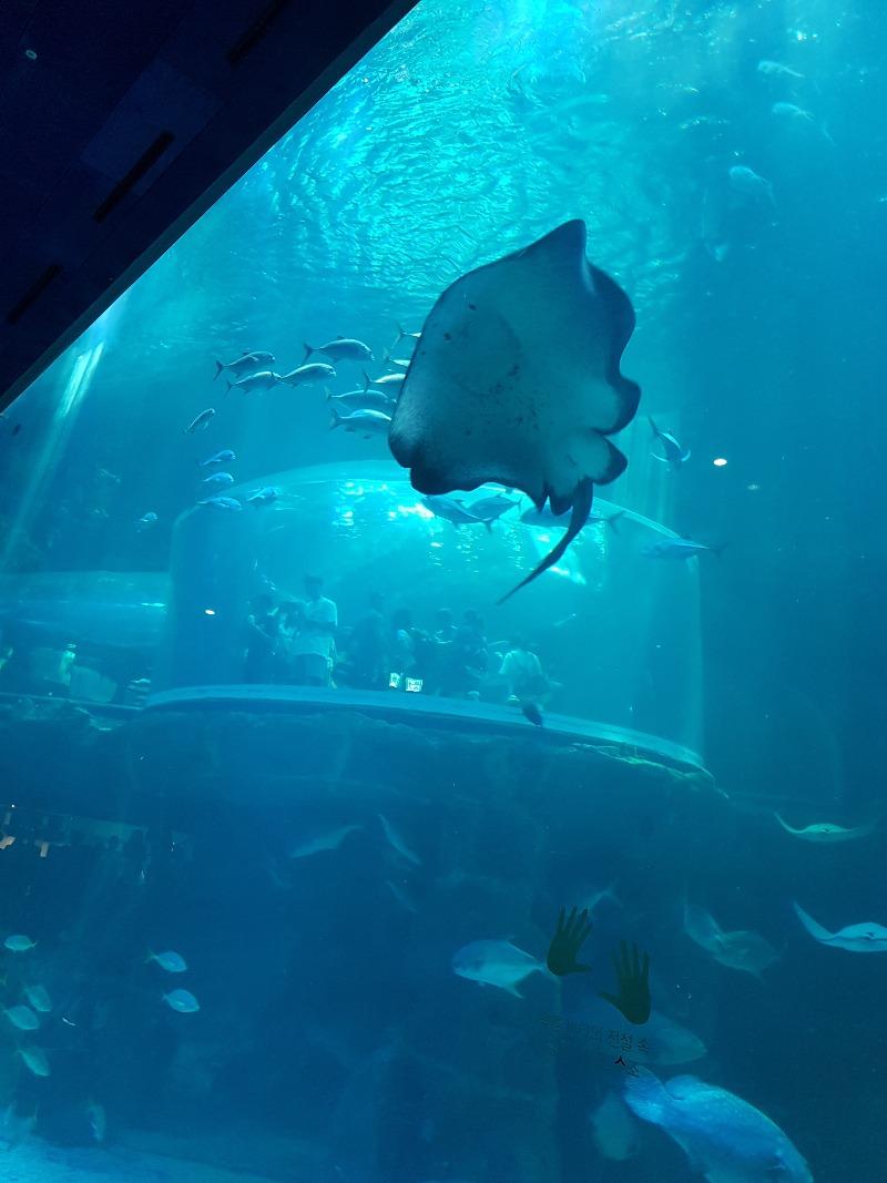20180804_105940.jpg