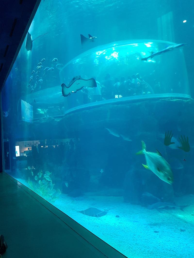 20180804_105925.jpg