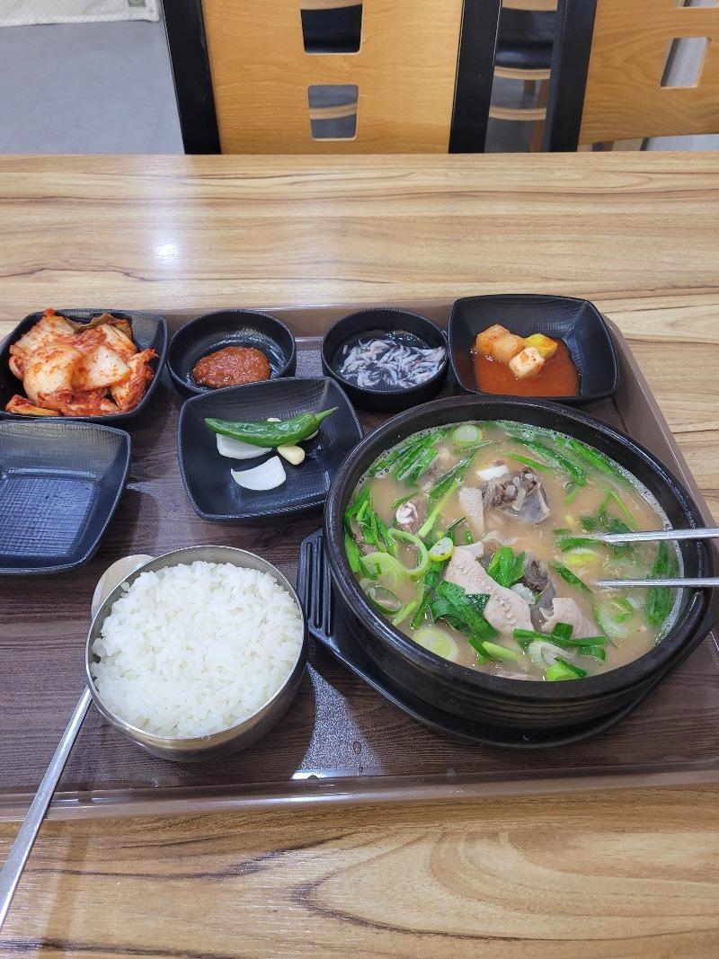 도아지로 국을끼린 돼지국빱 | 보배드림 자유게시판
