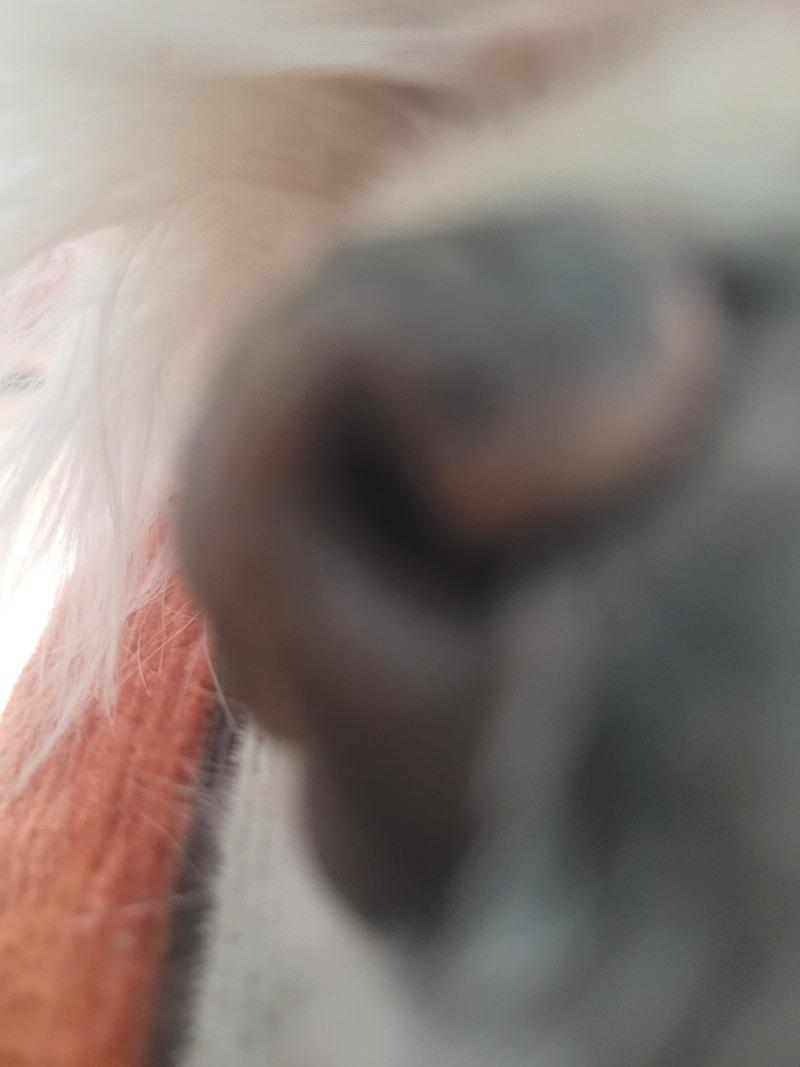 1000010139.jpg