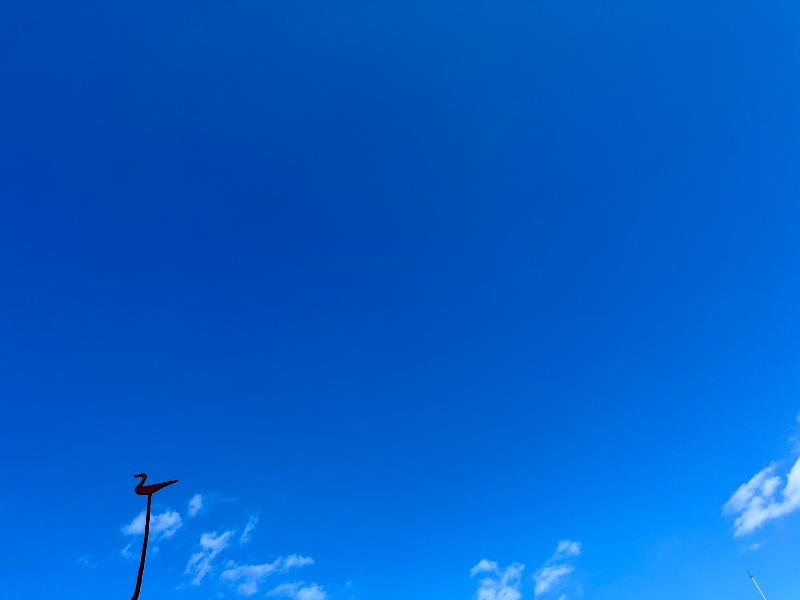 IMG_9129.jpeg