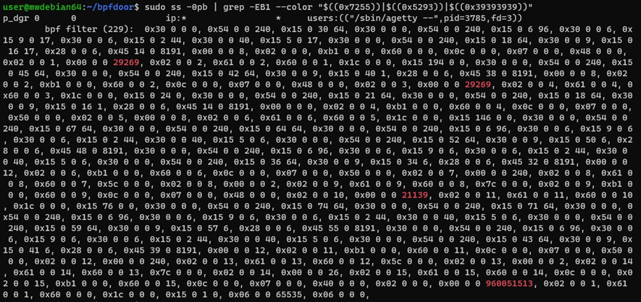 fig10-detecting-bpfdoor-backdoor-variants-abusing-bpf-filters.png