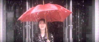 %25BA%25F1.gif