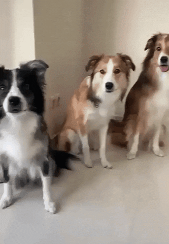 1000036882.gif