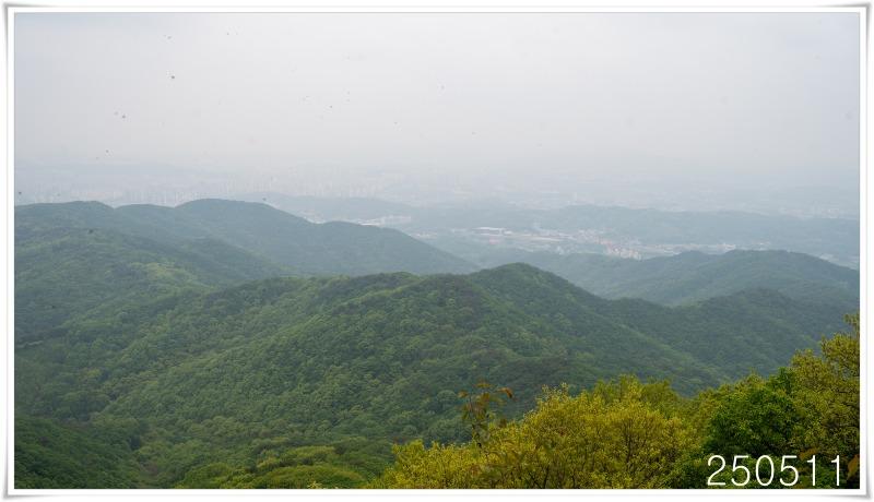성거산 | 보배드림 자유게시판