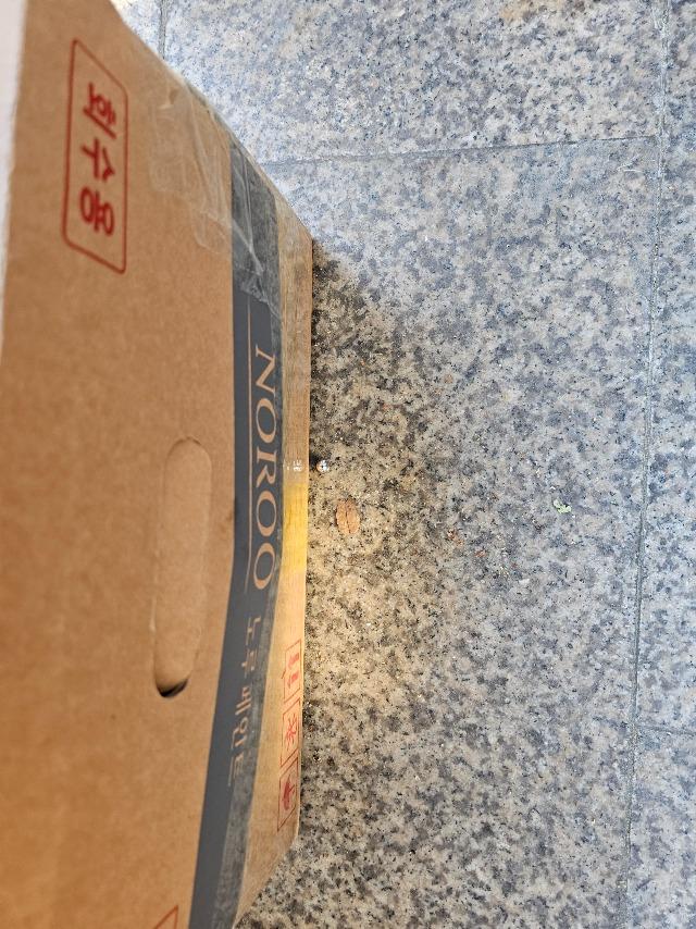 KakaoTalk_20250512_074653048.jpg
