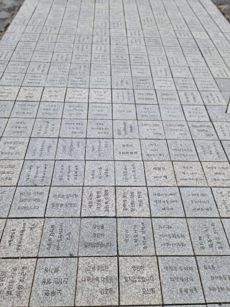 1000015976.jpg
