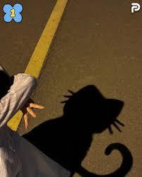 images-77.jpeg
