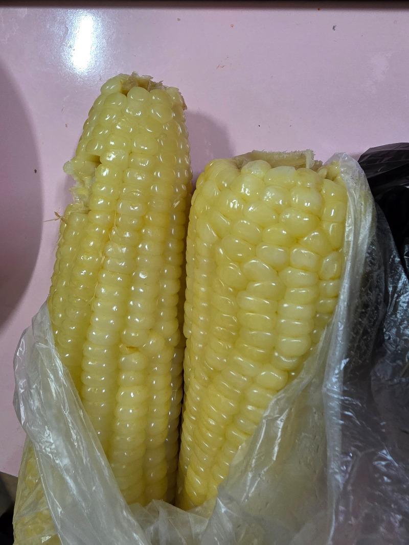 1000028531.jpg