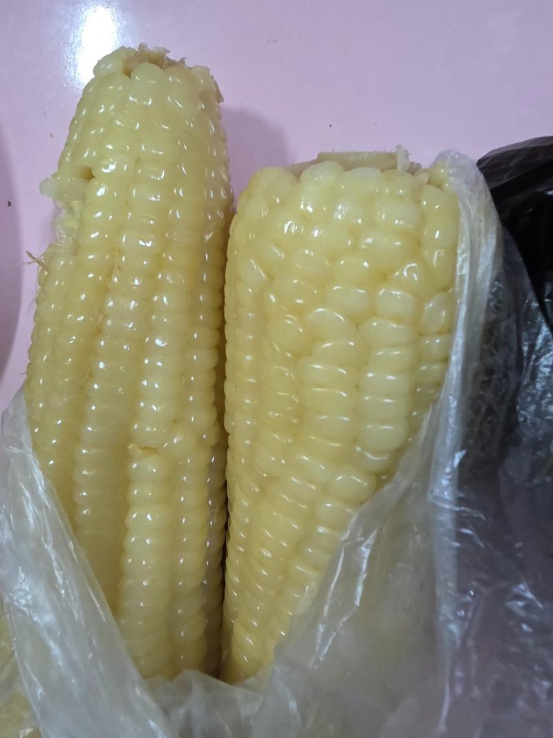 1000028530.jpg