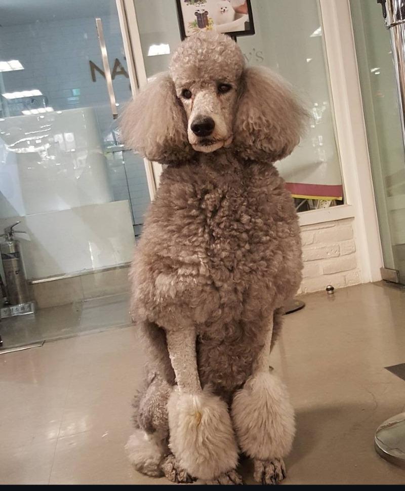 KakaoTalk_20250522_163707928_03.jpg