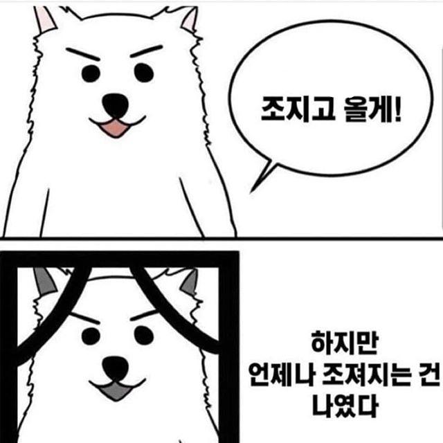 60df0c2471ba2434f522d8b3a52ffea3.jpg