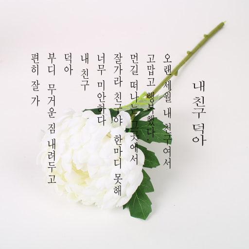 덕아.jpg