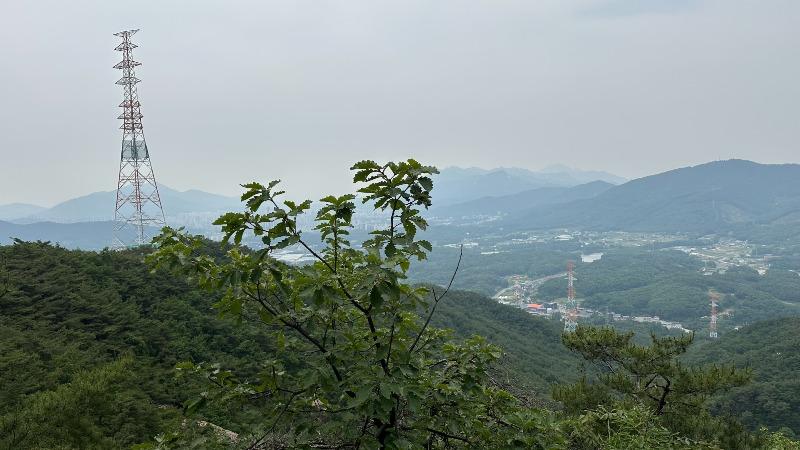 IMG_1074.jpeg
