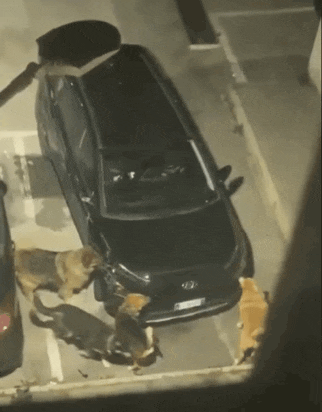 68414ec197b38_Sq4PblsJ_12086f761a7c07de728a81b60105fb1dfa60f012.gif