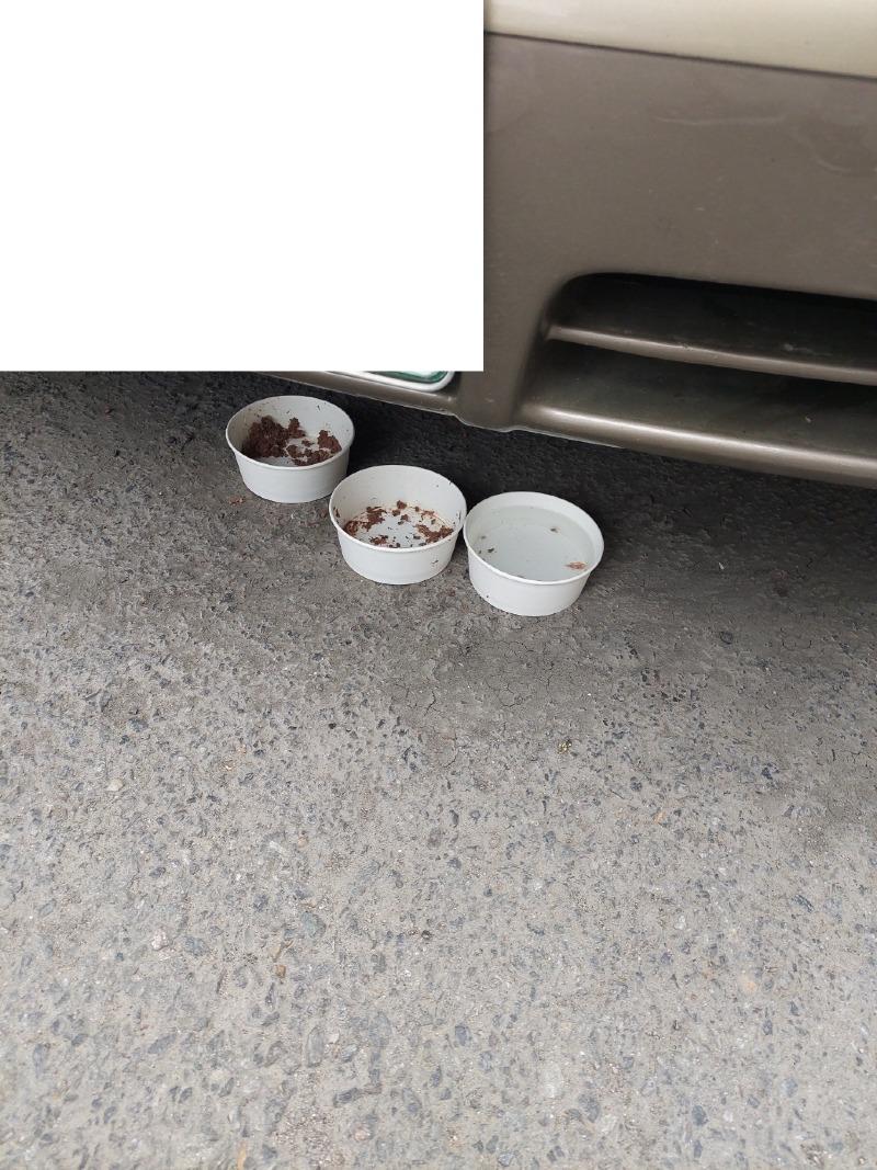 KakaoTalk_20250530_155252691.jpg