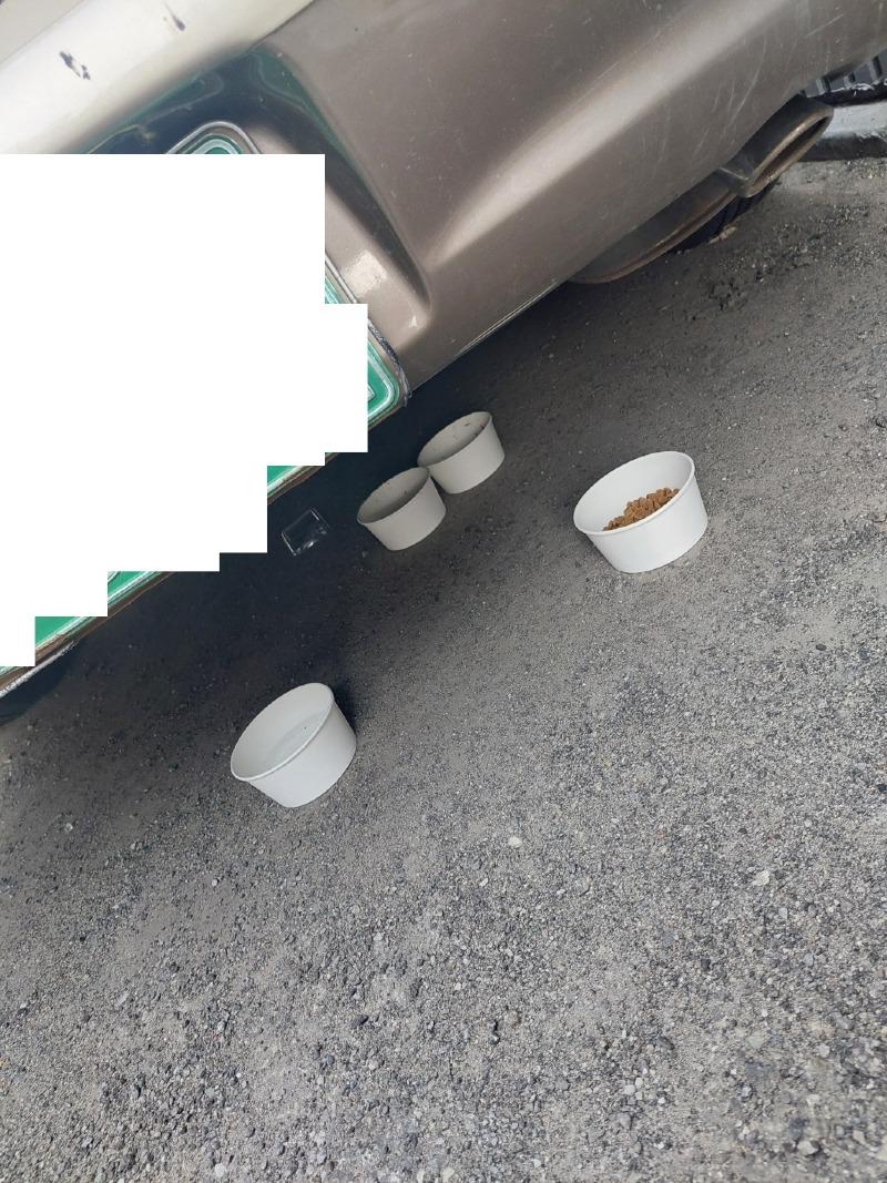 KakaoTalk_20250530_155252691_08.jpg