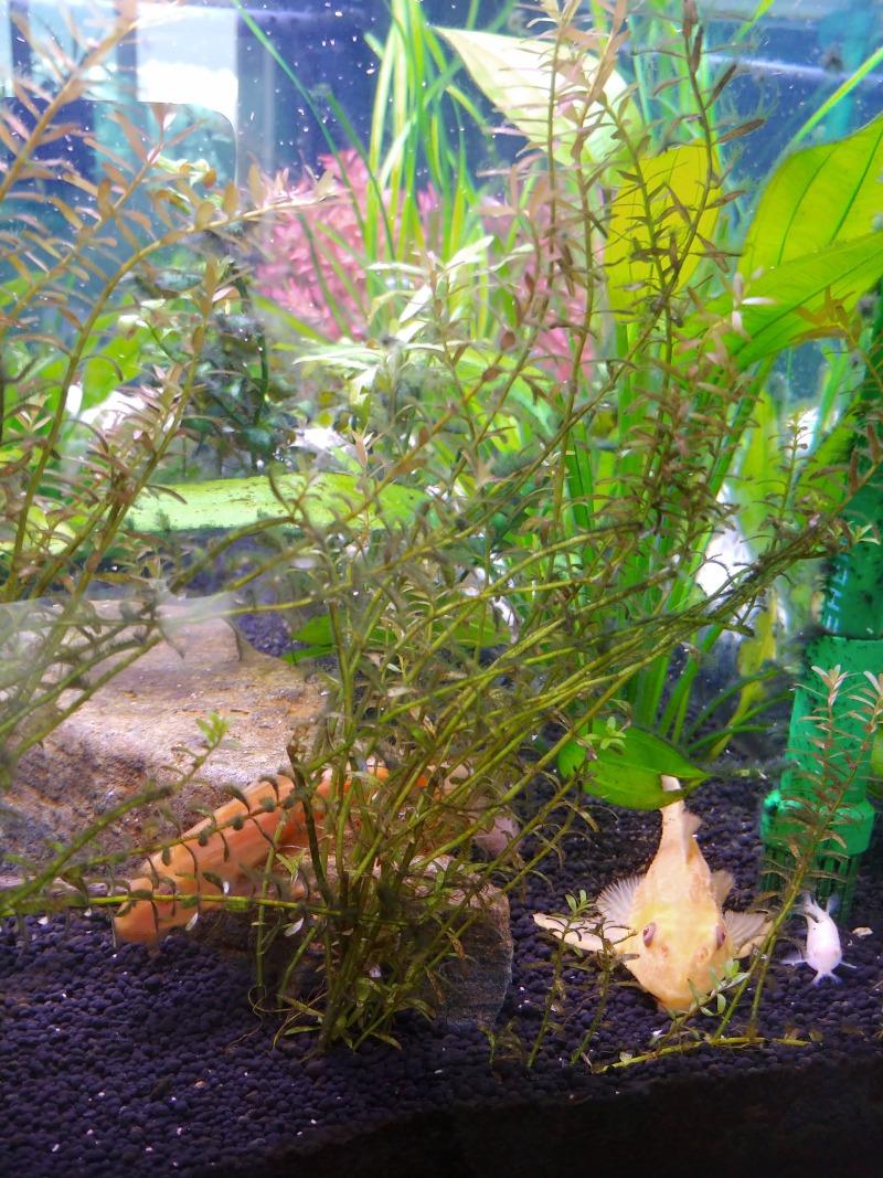 20200821_082105.jpg