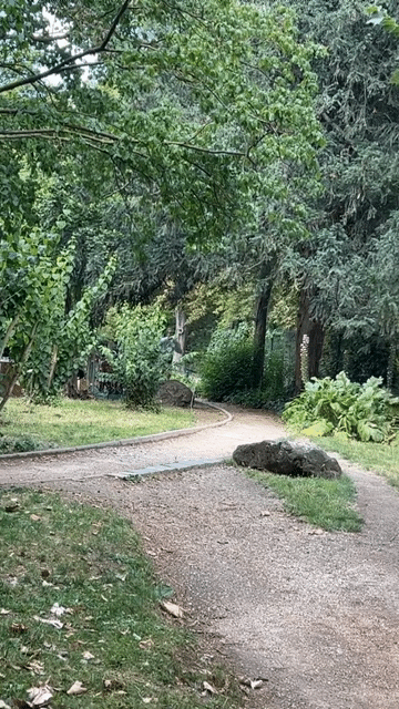1000122378.gif