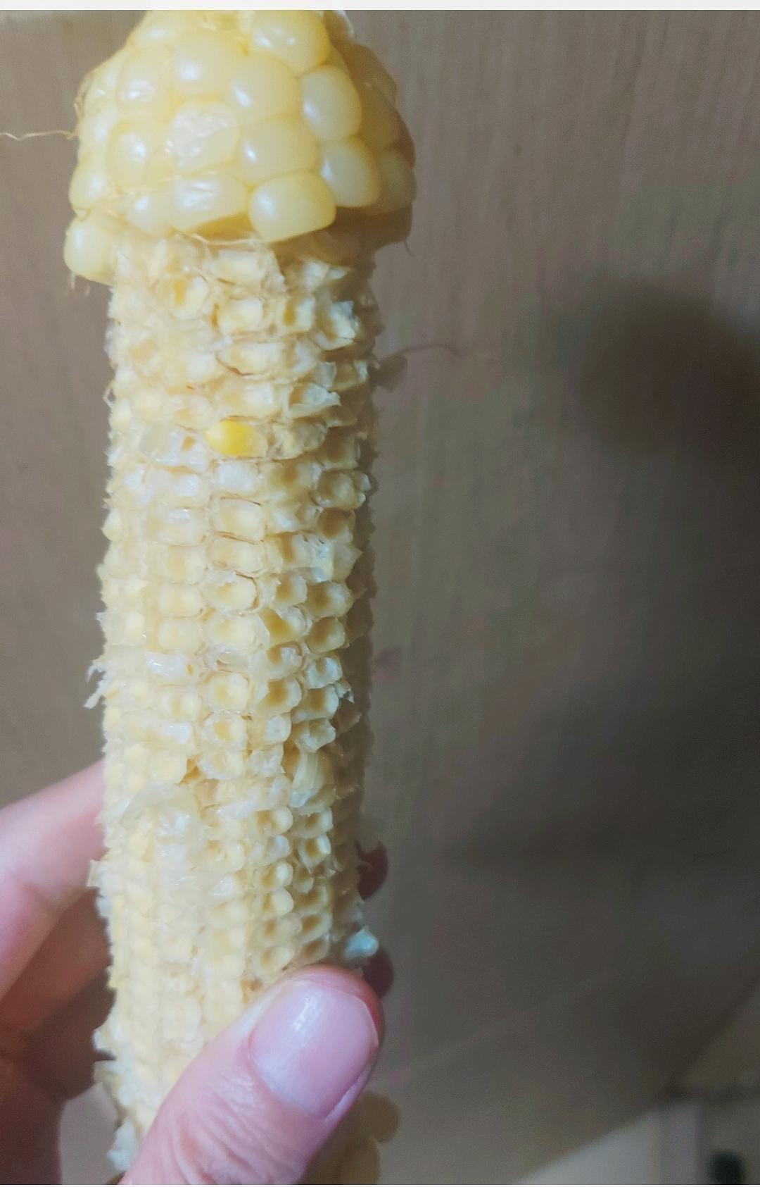 MEITU_20250707_020626056.jpg