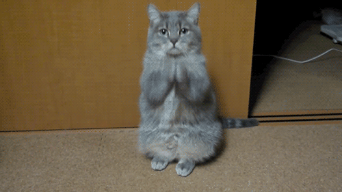 8a3df0767e050042bdab11fa3cded83b.gif