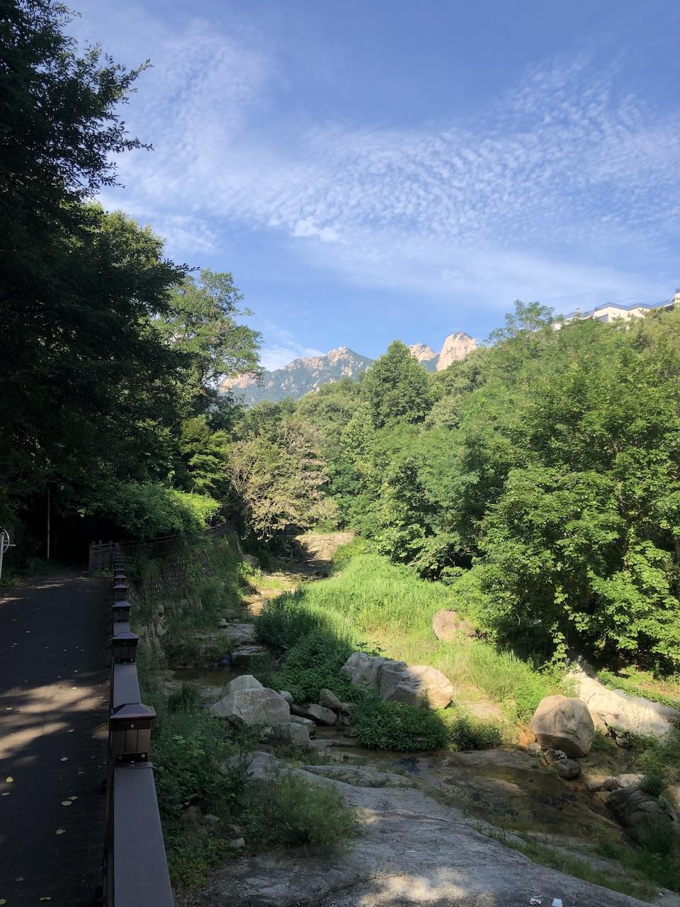 IMG_4610.jpeg