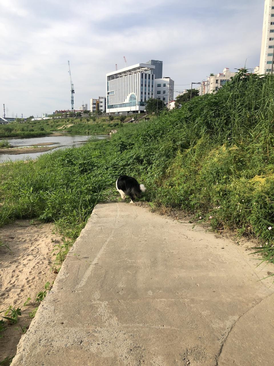 IMG_4607.jpeg