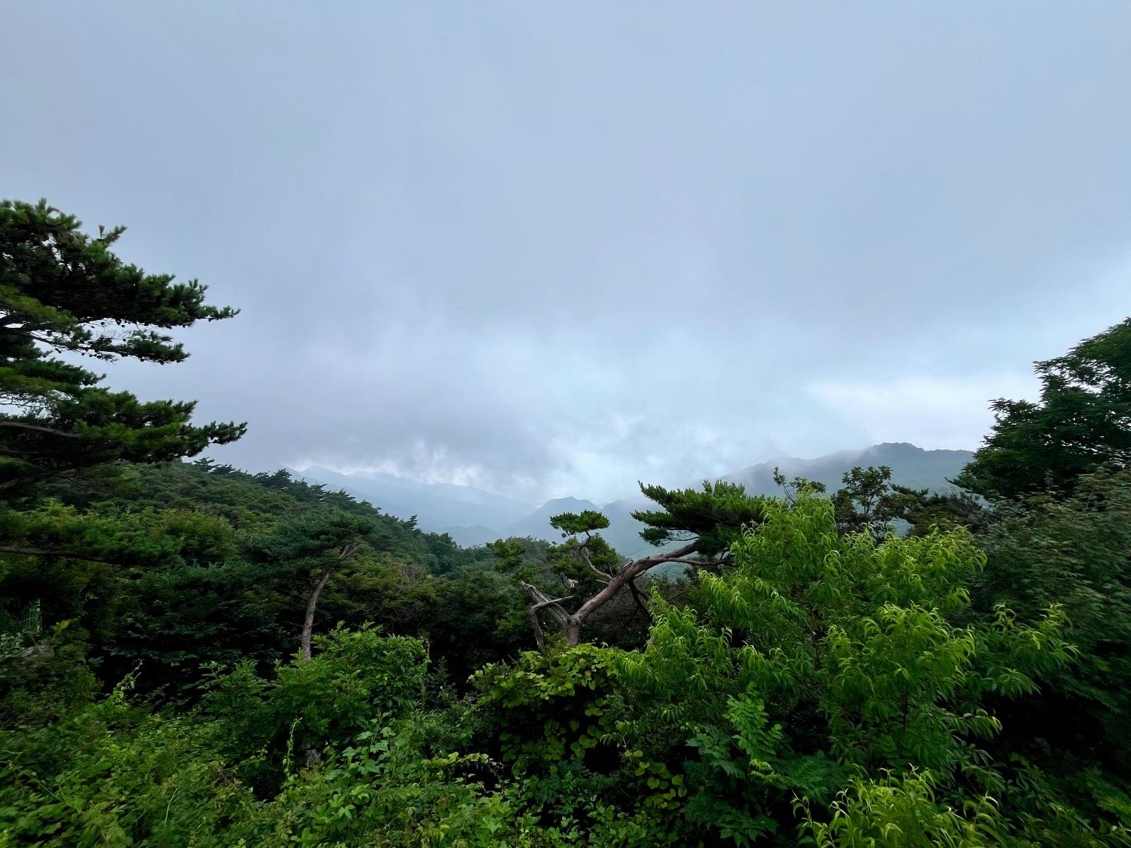 IMG_2794.jpeg