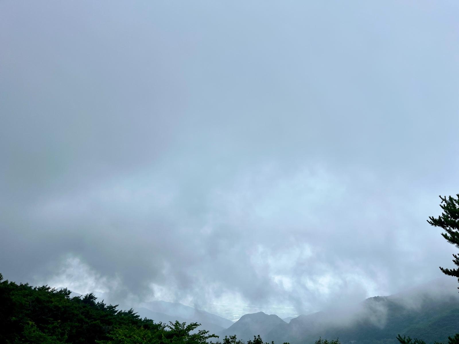 IMG_2799.jpeg