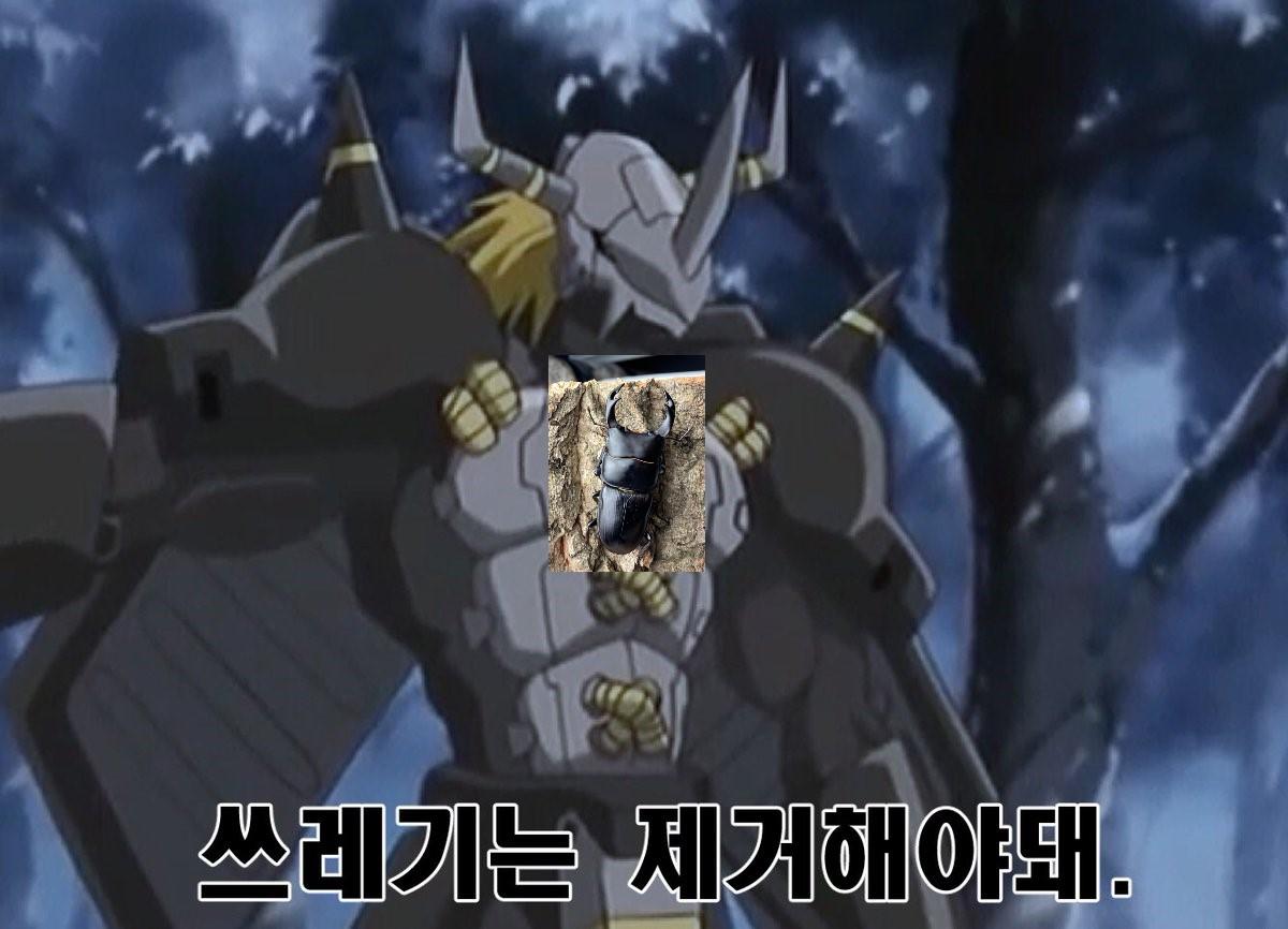 1000019966.jpg