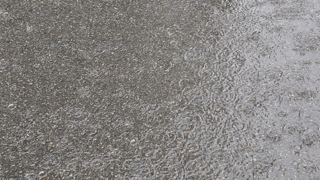 1000046173.gif