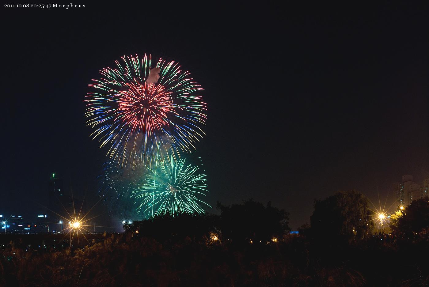 DSC_0335.jpg