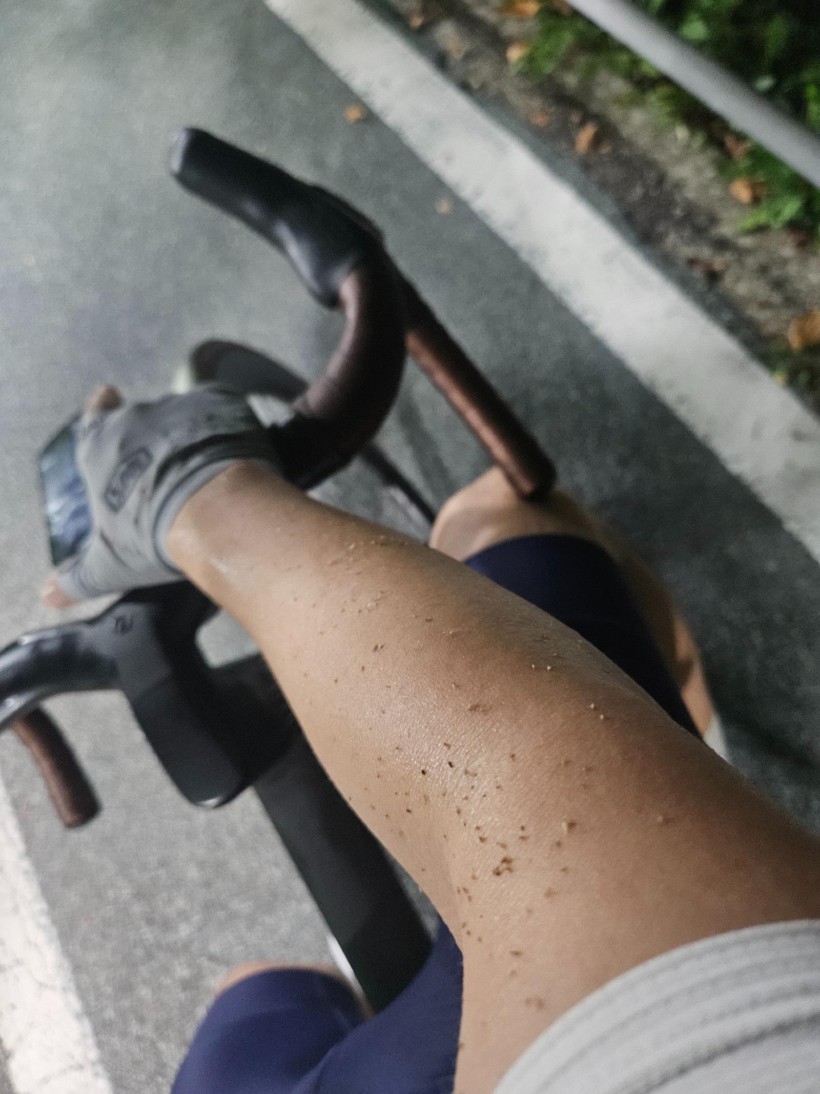 KakaoTalk_20250801_222340606_03.jpg