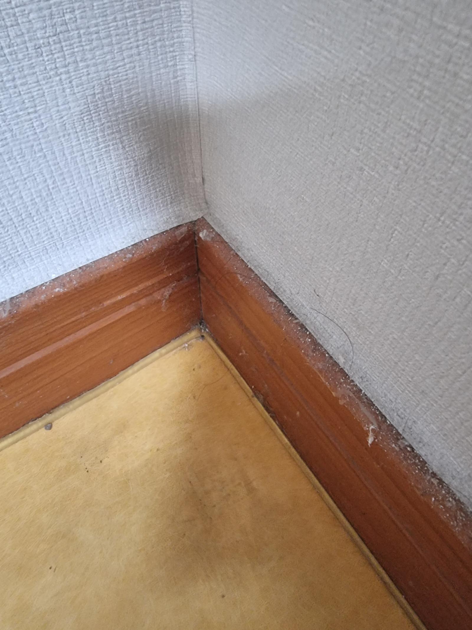 Ŭ���Ͻø� ���� �̹����� ���� �� �ֽ��ϴ�.