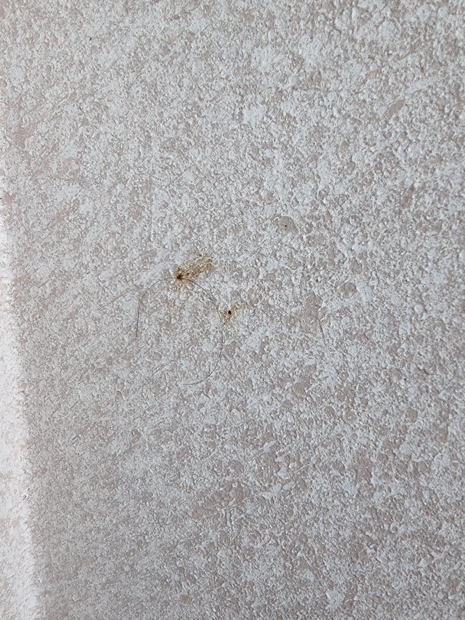 Ŭ���Ͻø� ���� �̹����� ���� �� �ֽ��ϴ�.