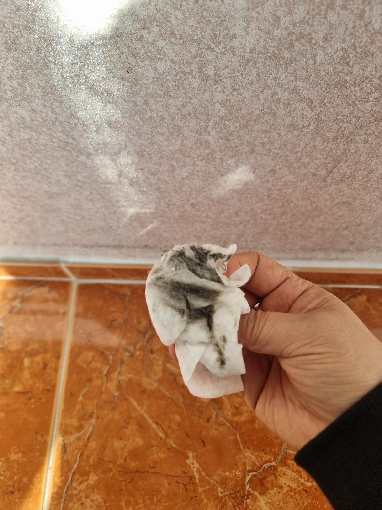 Ŭ���Ͻø� ���� �̹����� ���� �� �ֽ��ϴ�.