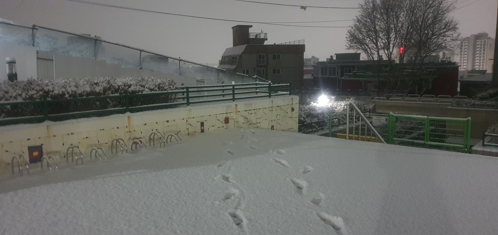 20260202_020721.jpg