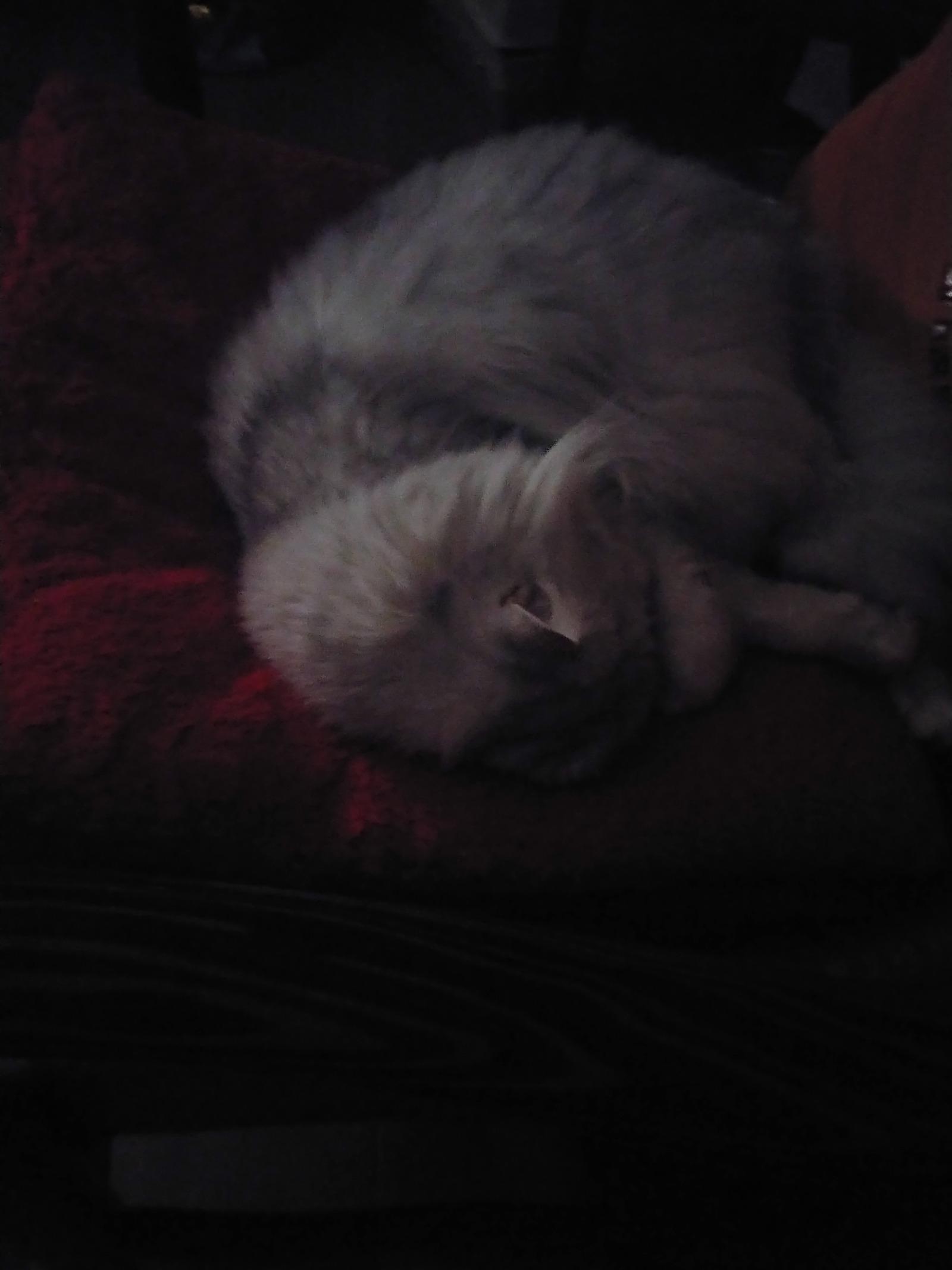 20260130_223752.jpg