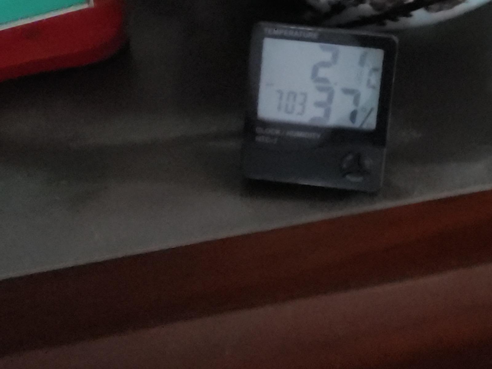 20260203_071645.jpg