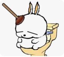 엽기토끼.JPG