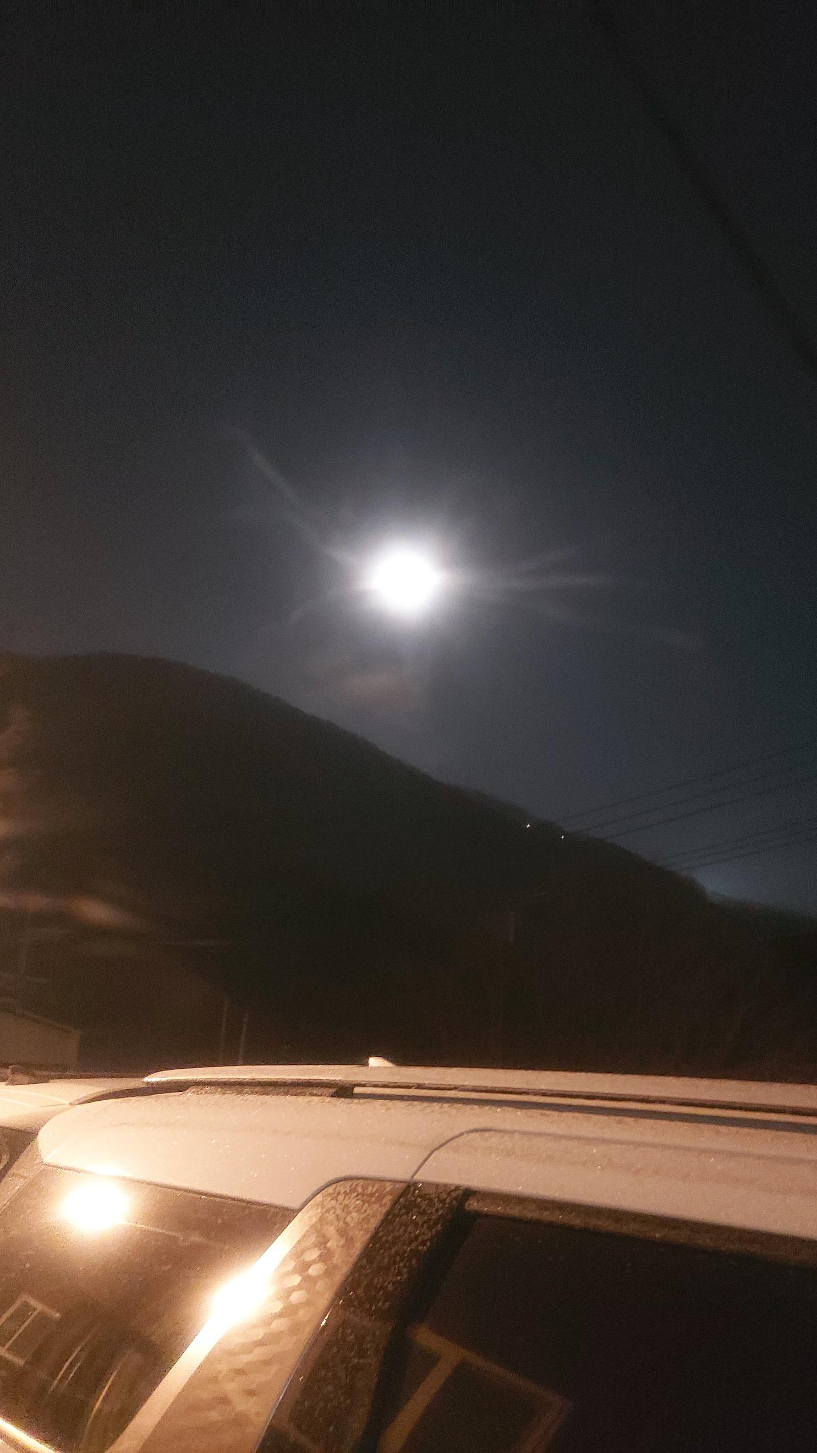 20260204_061956.jpg