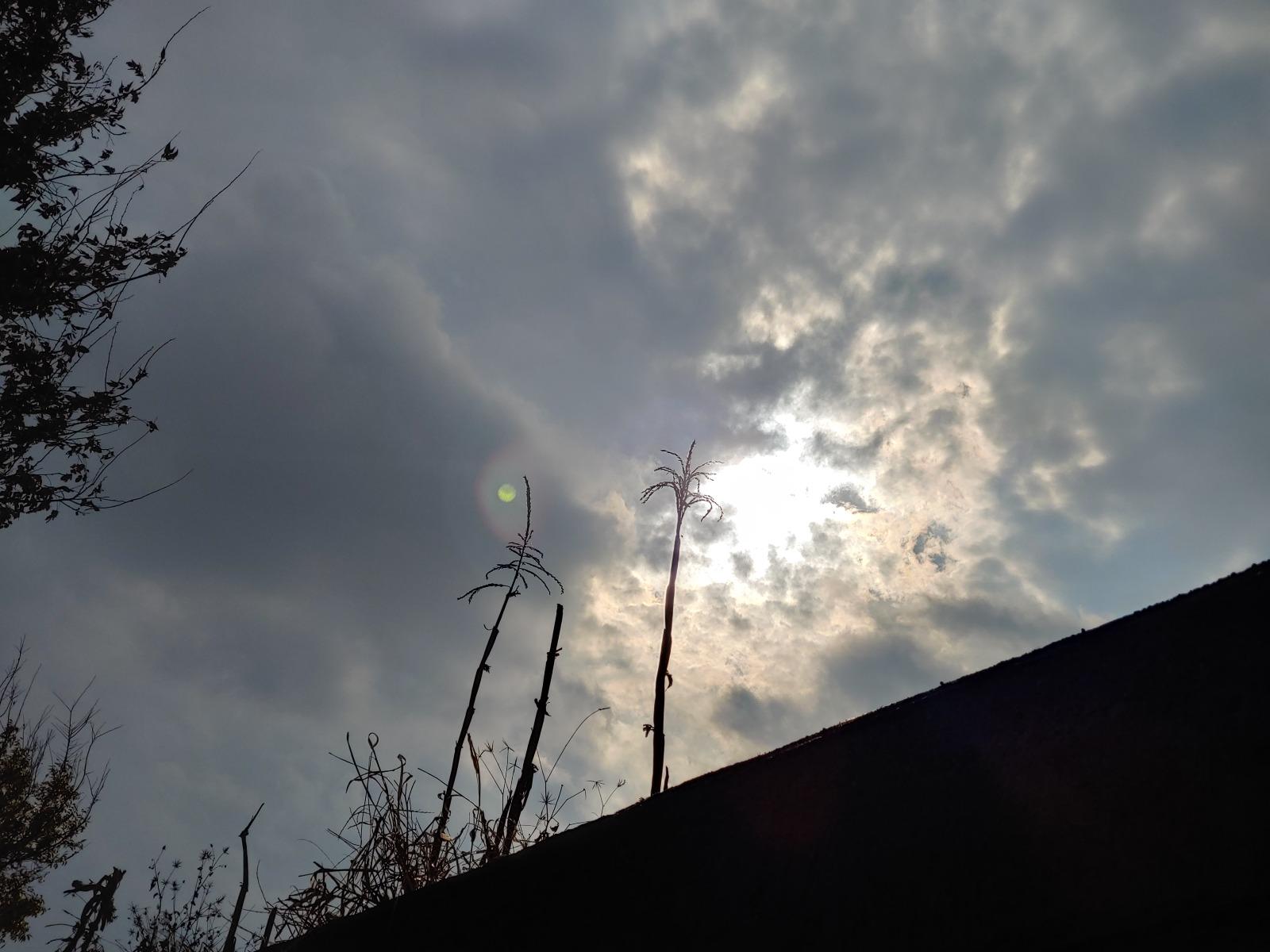 20251127_134504_HDR.jpg