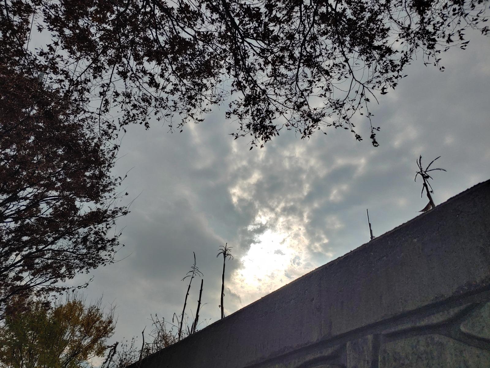 20251127_134456_HDR.jpg