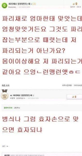 지식인_파리채.jpg