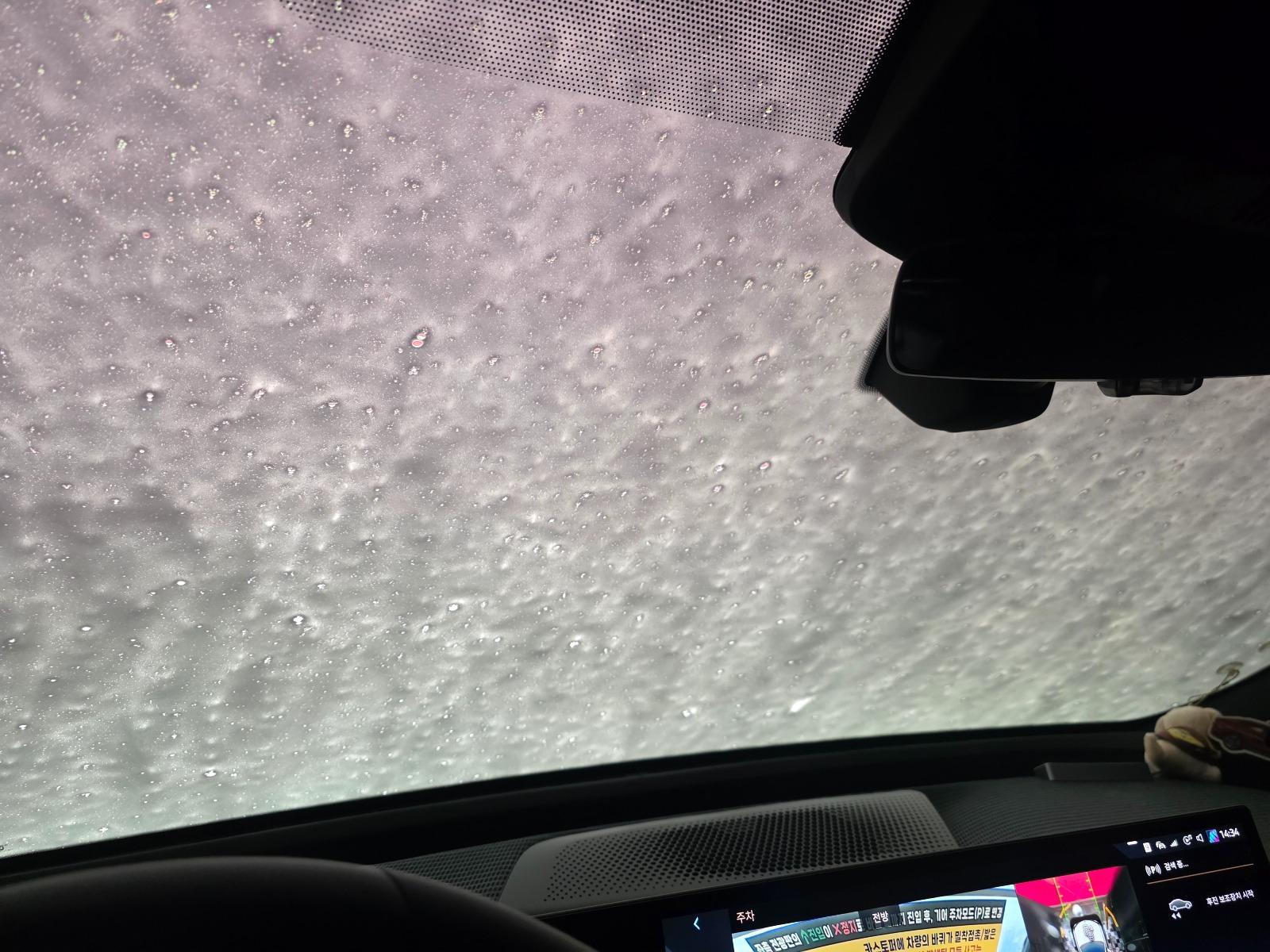 1000033741.jpg