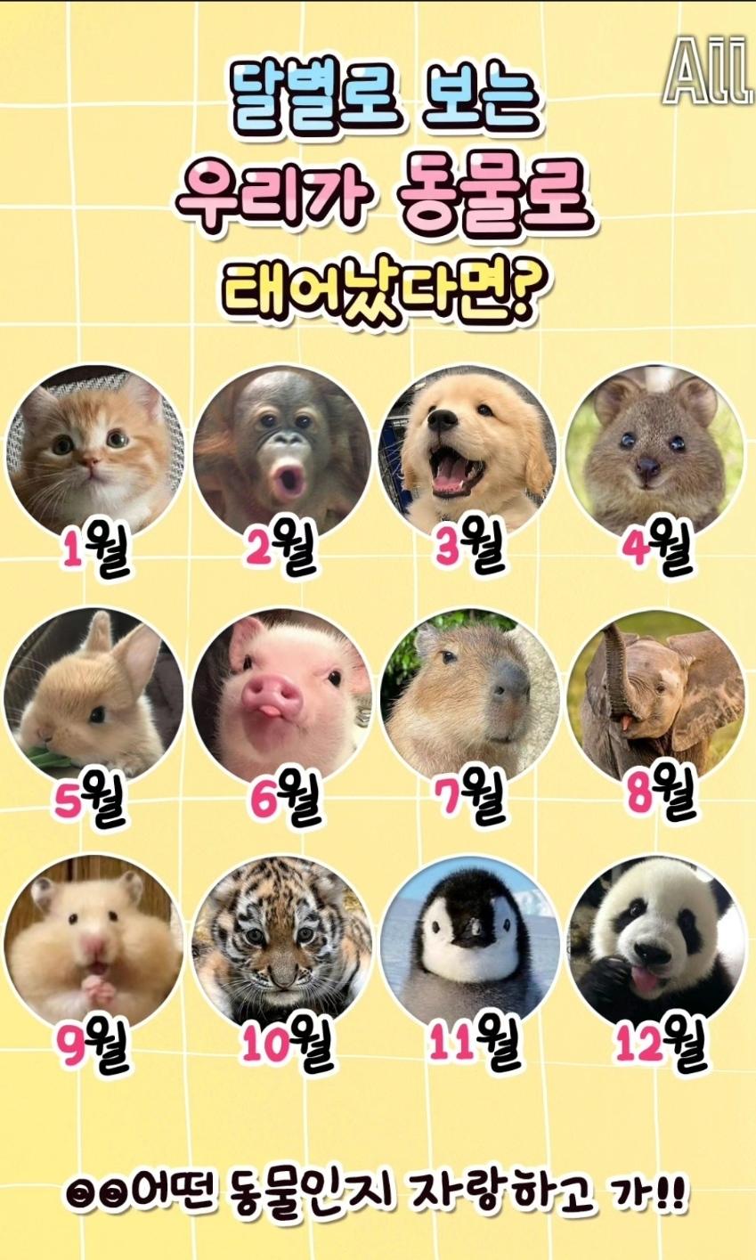 Screenshot_20260205_150448_Instagram.jpg