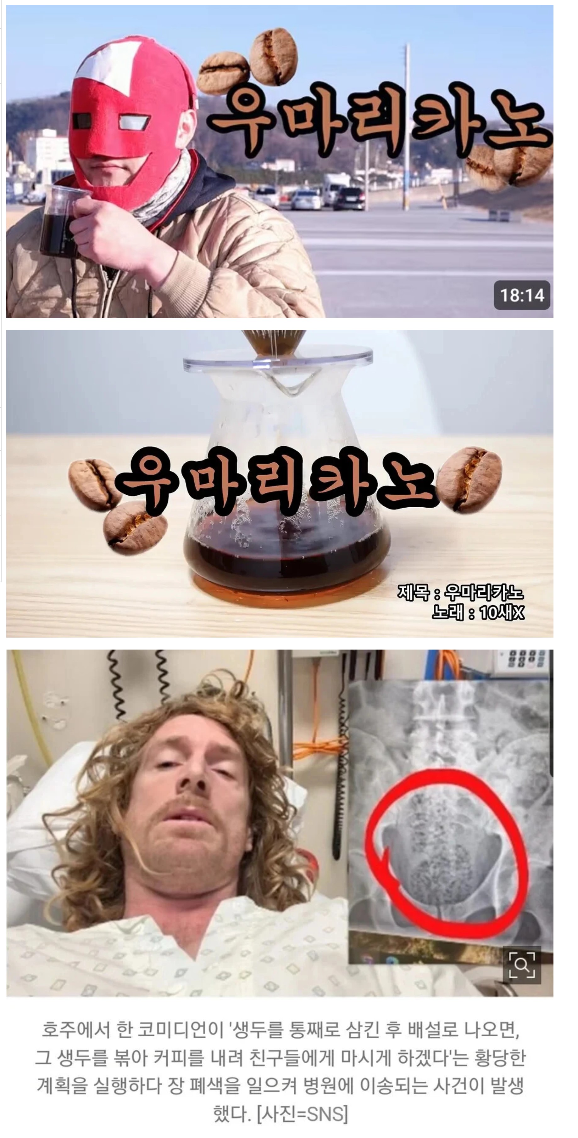 한류 해외전파.JPG