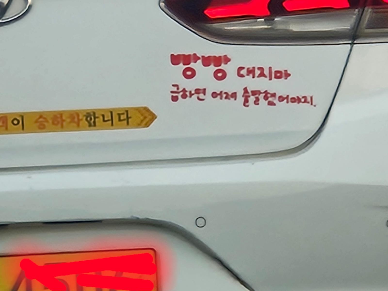 1000138071.jpg