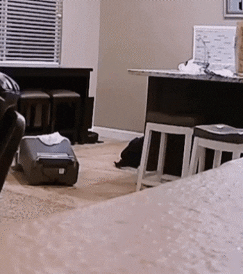 20260205192247352qths.gif